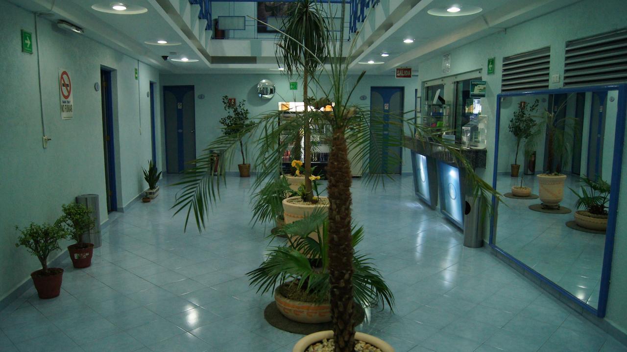 Hotel Muy (Adults Only) Мехіко Екстер'єр фото